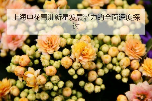上海申花青训新星发展潜力的全面深度探讨
